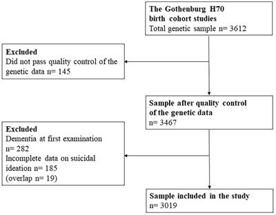 Passive and active suicidal ideation in a population-based sample of older adults: Associations with polygenic risk scores of relevance for suicidal behavior